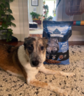 Blue Buffalo – Dog Food Brand Review of Blue Buffalo
