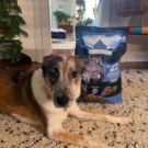 Blue Buffalo – Dog Food Brand Review of Blue Buffalo
