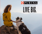 Purina – Dog Food Brand Review of Purina