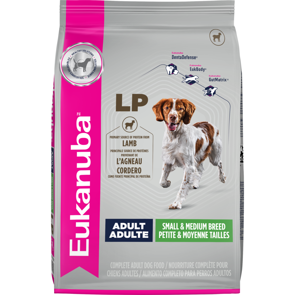 Adult Medium Breed