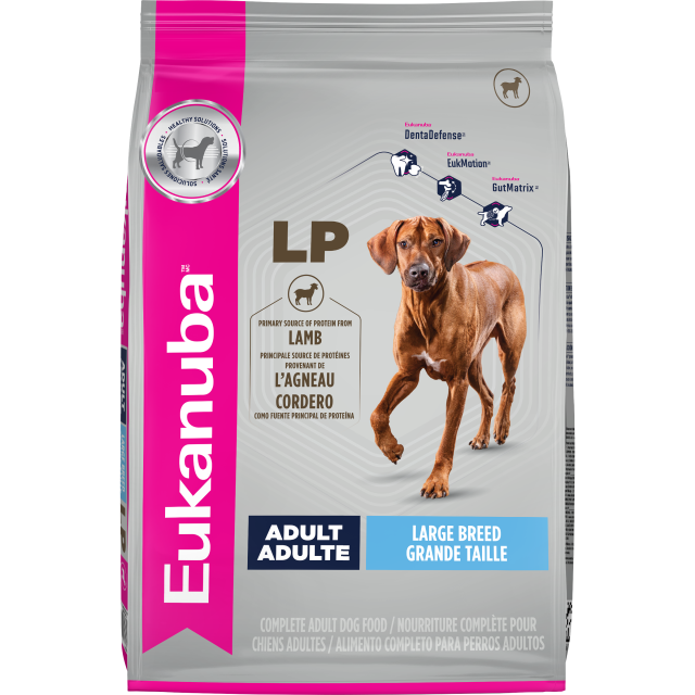 Adult Large Breed